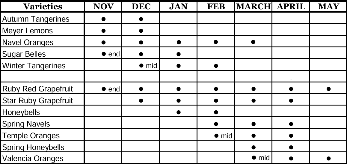 Availability Calendar