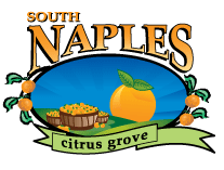 South Naples Citrus Grove