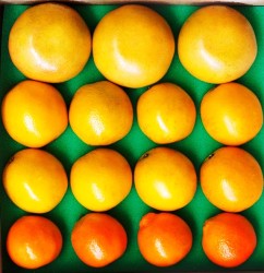 Product Image of Farmer's Choice - 3 Seasonal Grapefruit + 12 Seasonal Oranges