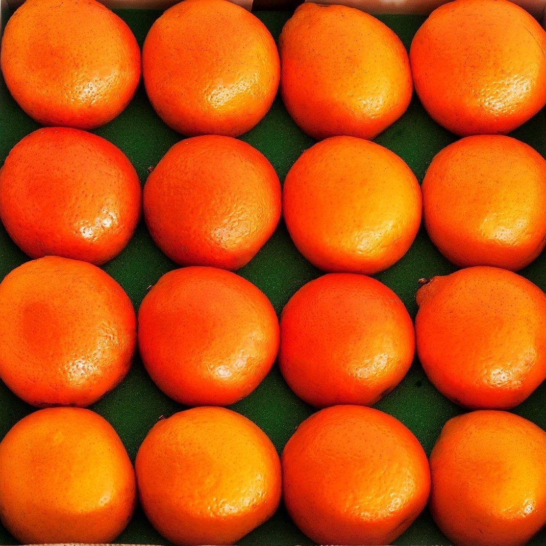 Product Image of 16 Honeybells