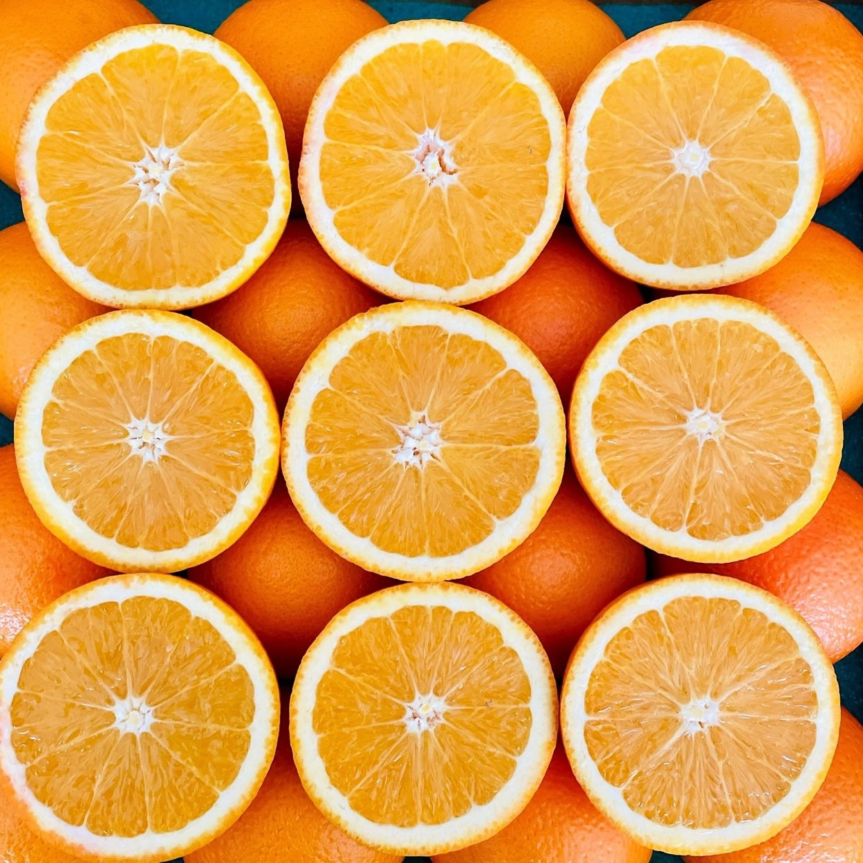 16 Navel Oranges