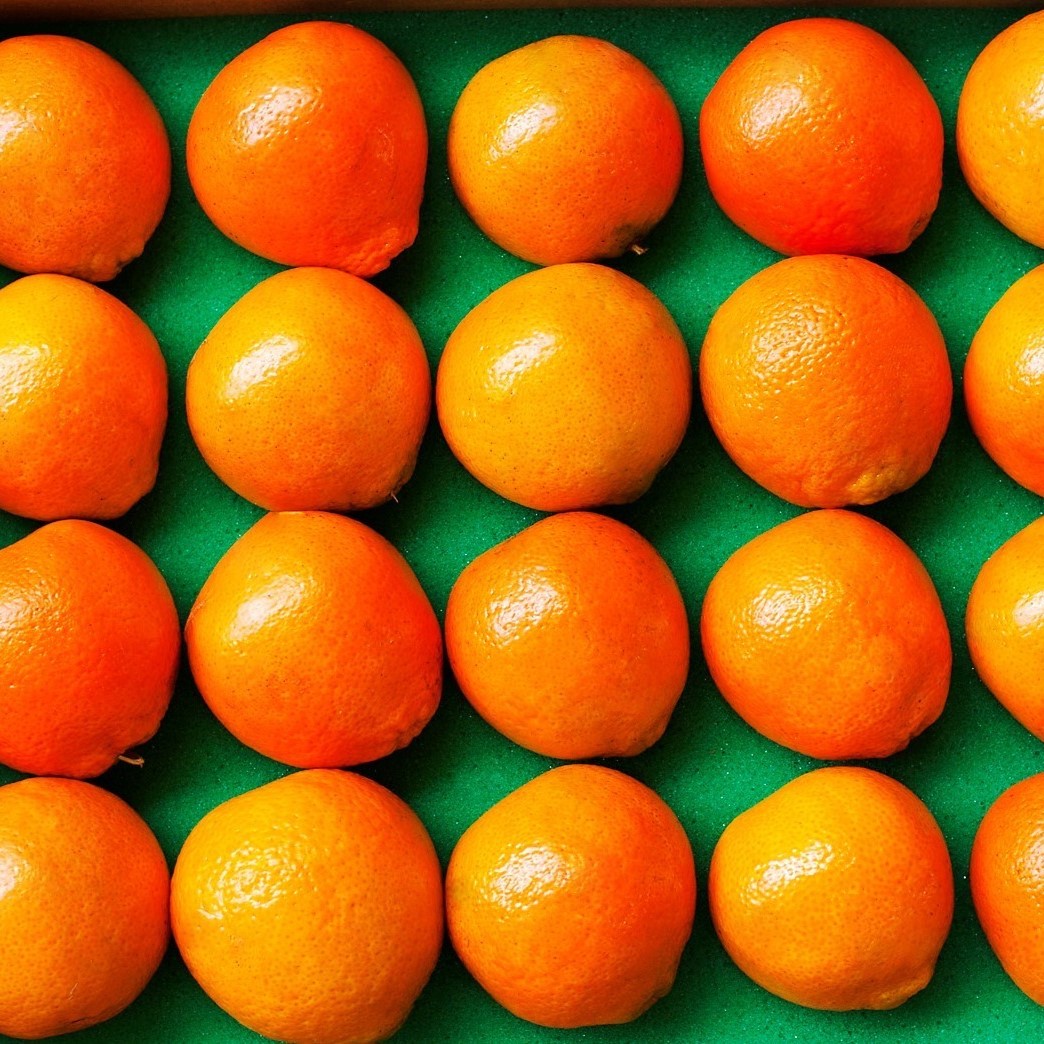 Product Image of 20 Honeybells