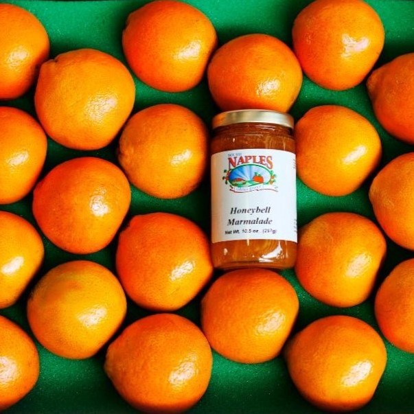 Product Image of 20 Honeybells + Marmalade