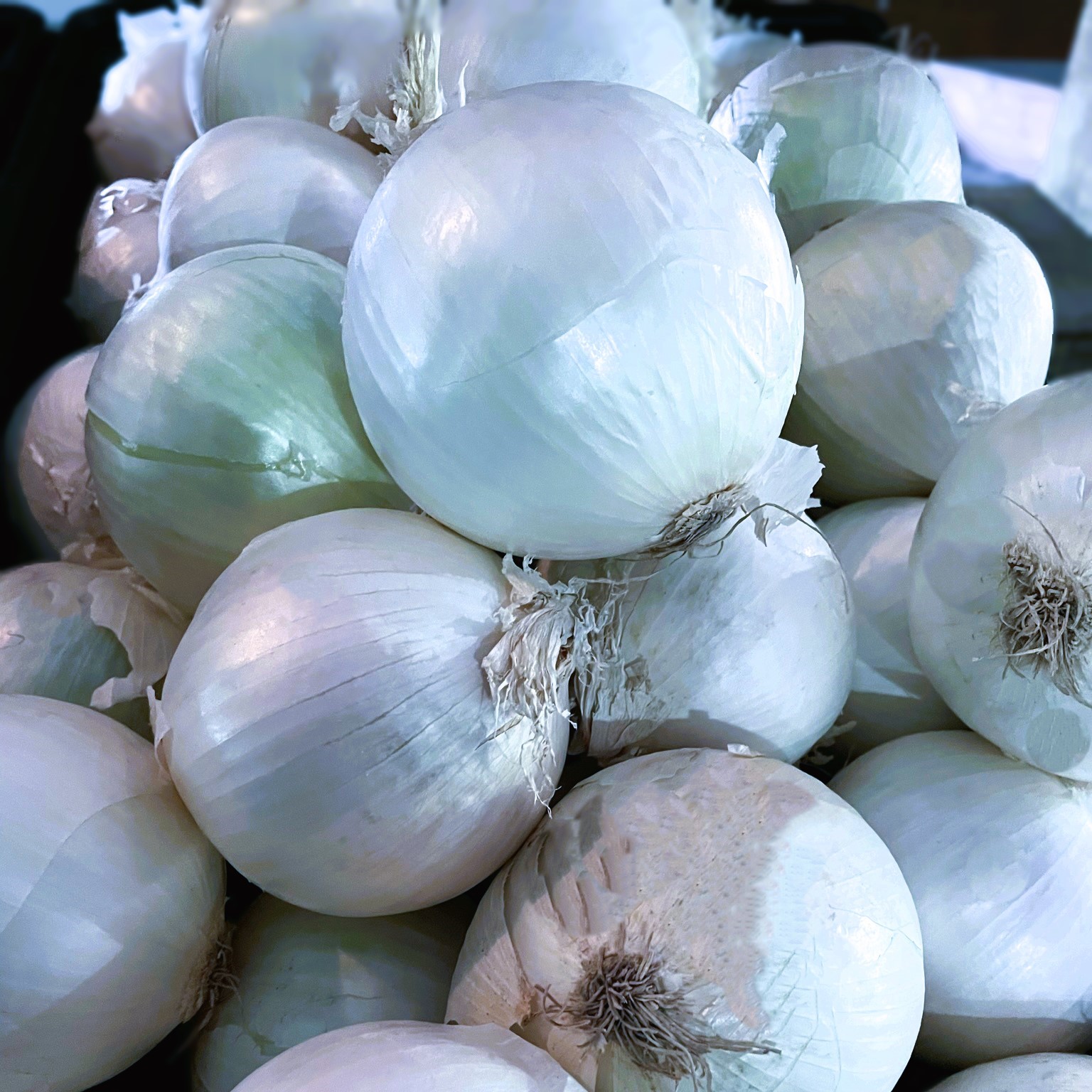 Product Image of Onions - White