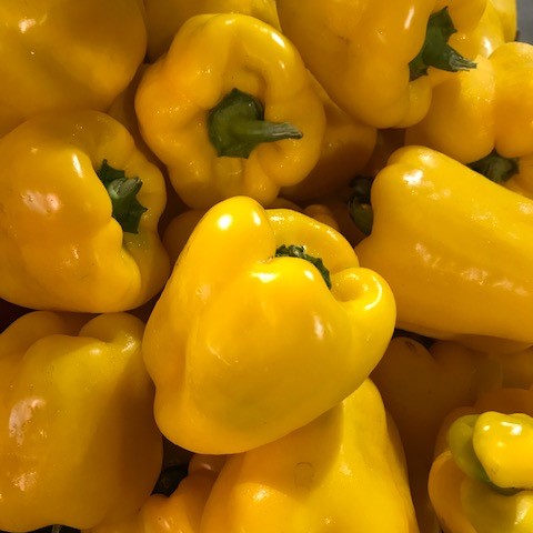 Peppers - Yellow Bell