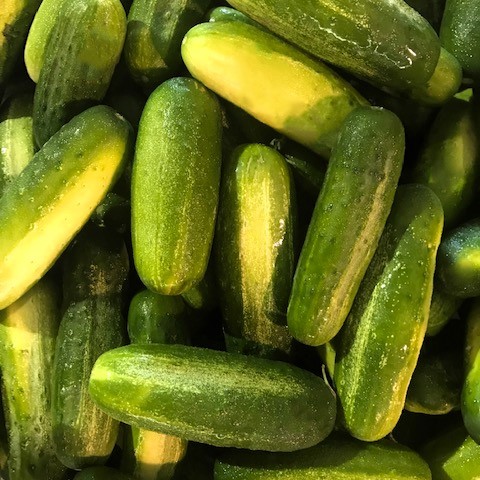 Pickles