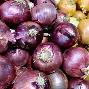 Product Image of Onions - Red