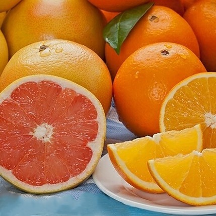 Ruby Red Grapefruit + Navel Oranges - 1 SPLIT TRAY- 4 RUBY RED, 7 NAVELS