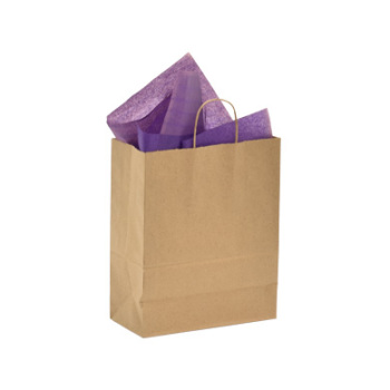 Large Kraft Paper Shopping Bag With Handles -10 X 5.11 X 13.39 - 250 Per Case