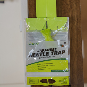 Japanese Beetle Trap