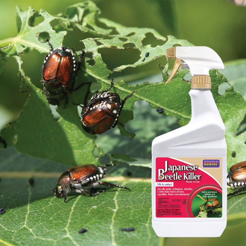 Product Image of Japanese Beetle Killer 32oz ready-to-use