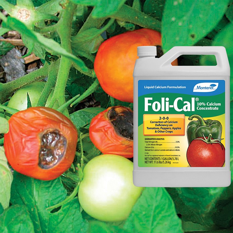 Product Image of Foli-Cal gallon concentrate