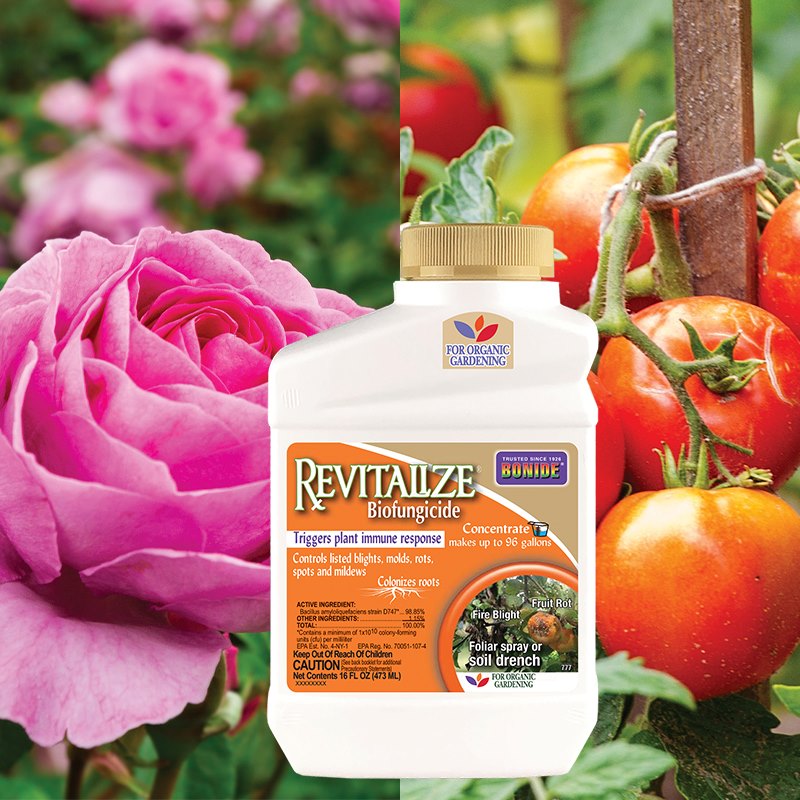 Product Image for Revitalize 16oz concentrate