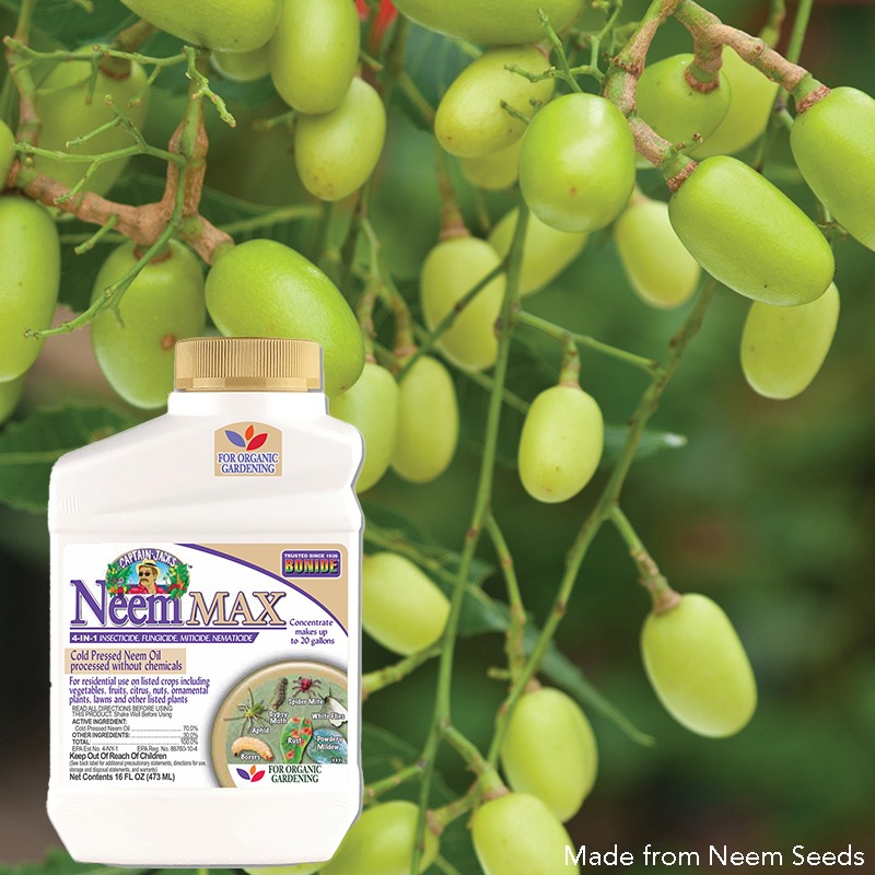 Product Image for Neem Max 16oz concentrate