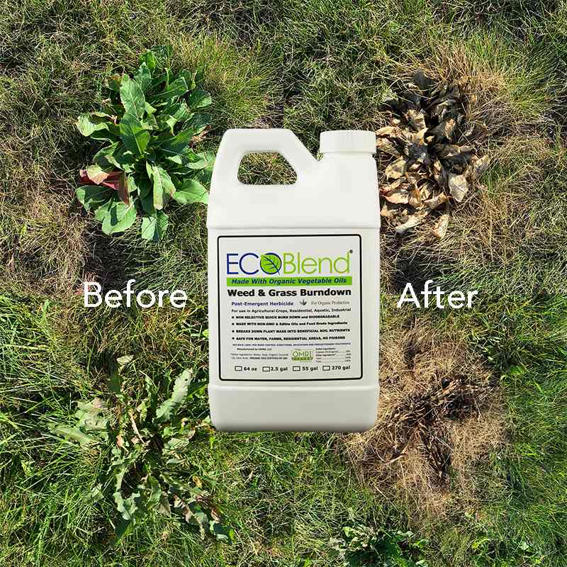 Product Image of Eco-Burn Weed & Grass Killer