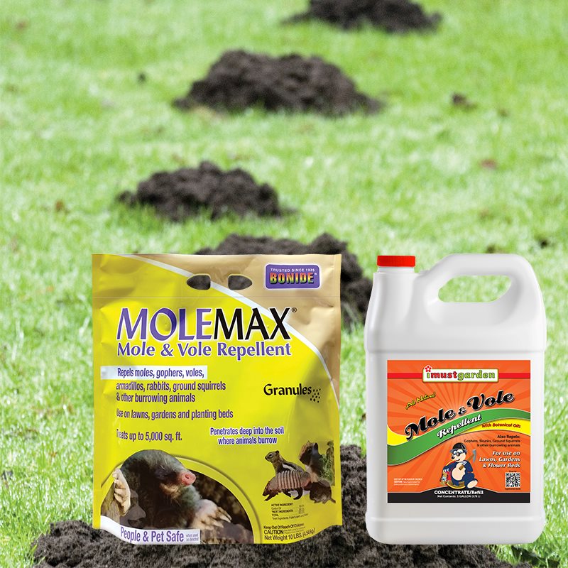 Product Image of Large Mole Kit