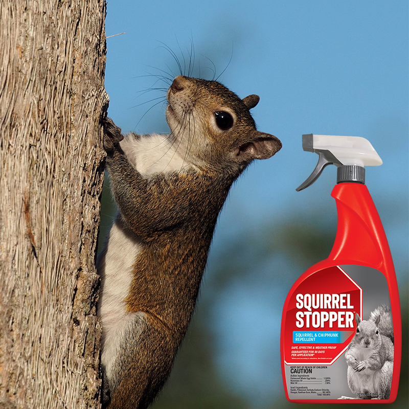 Product Image of All-Natural Squirrel Repellent 32oz