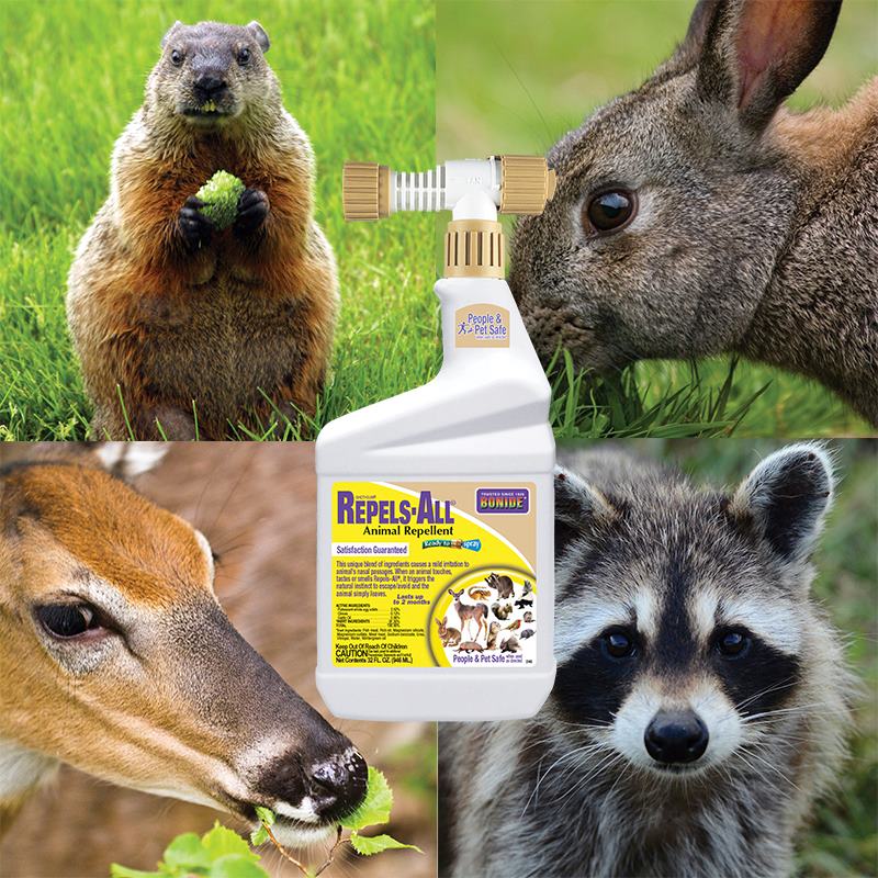 Repels-All 32oz ready-to-spray