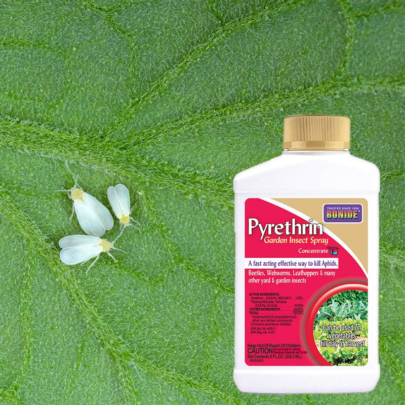 Product Image of Pyrethrin Garden Insect Spray 8oz concentrate