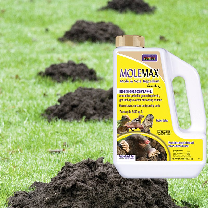 Product Image of Mole Max 5lb granular