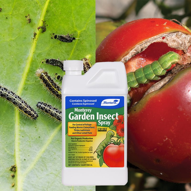 Garden Insect Spray 32oz concentrate