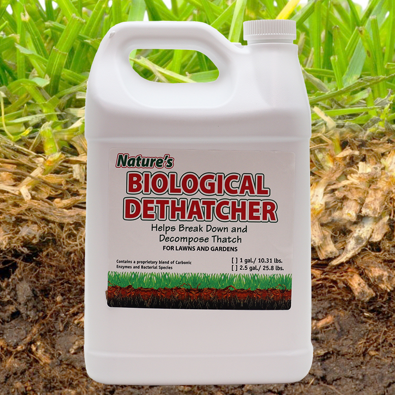Bio-Dethatcher gallon concentrate