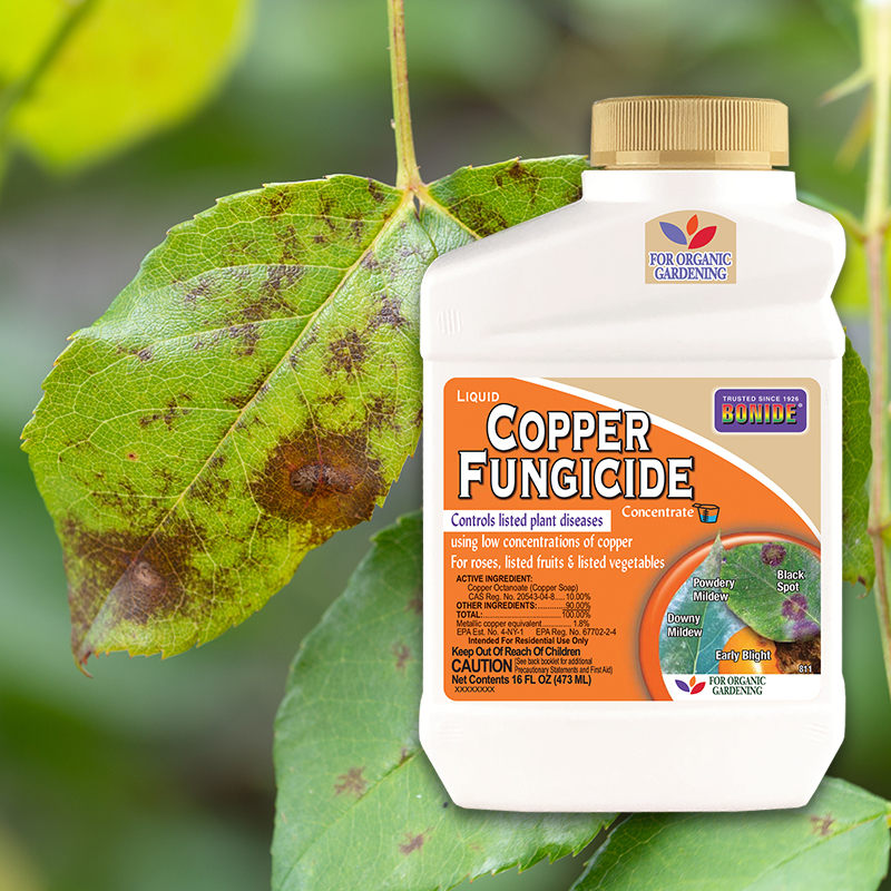 Copper Fungicide 16oz concentrate