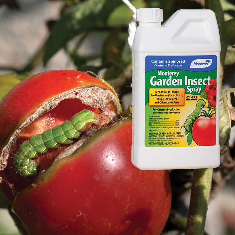 Garden Insect Spray 32oz concentrate