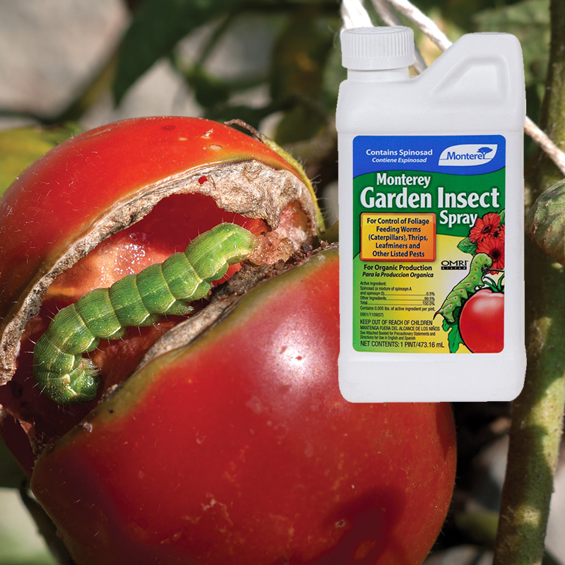 Garden Insect Spray 16oz concentrate
