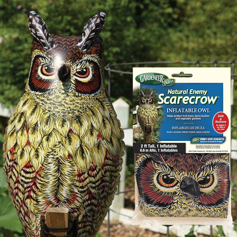 Inflatable owl decoy