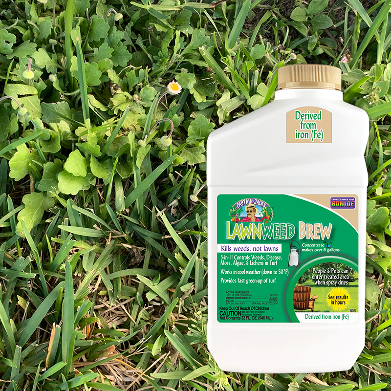 Lawn Weed Killer 32oz concentrate