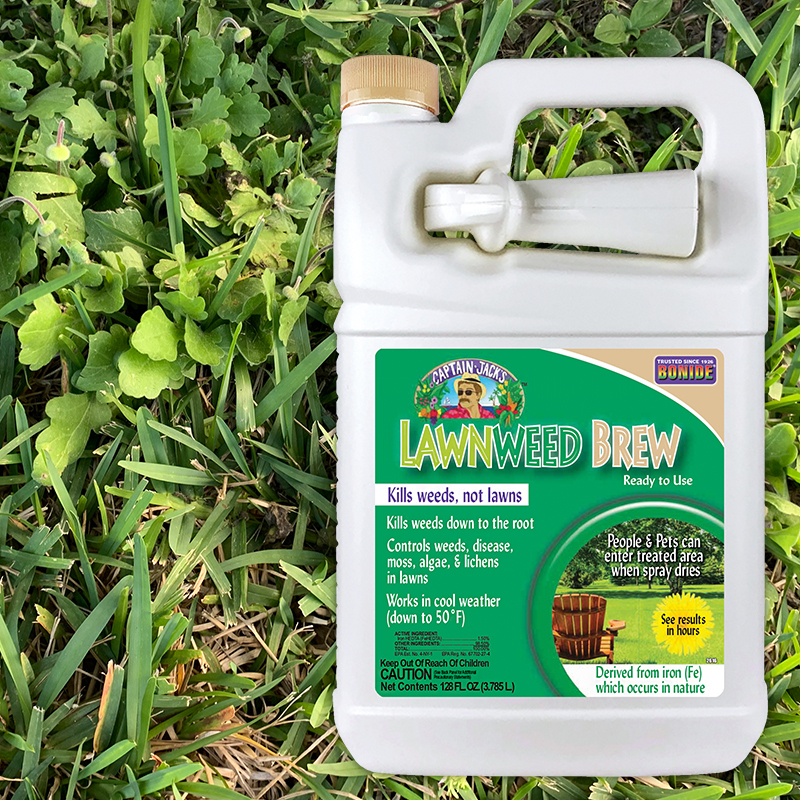 Lawnweed Brew gallon ready-to-use