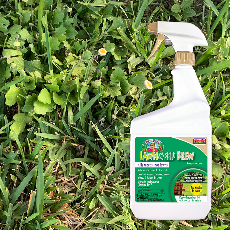 Lawn Weed Killer 32oz ready-to-use