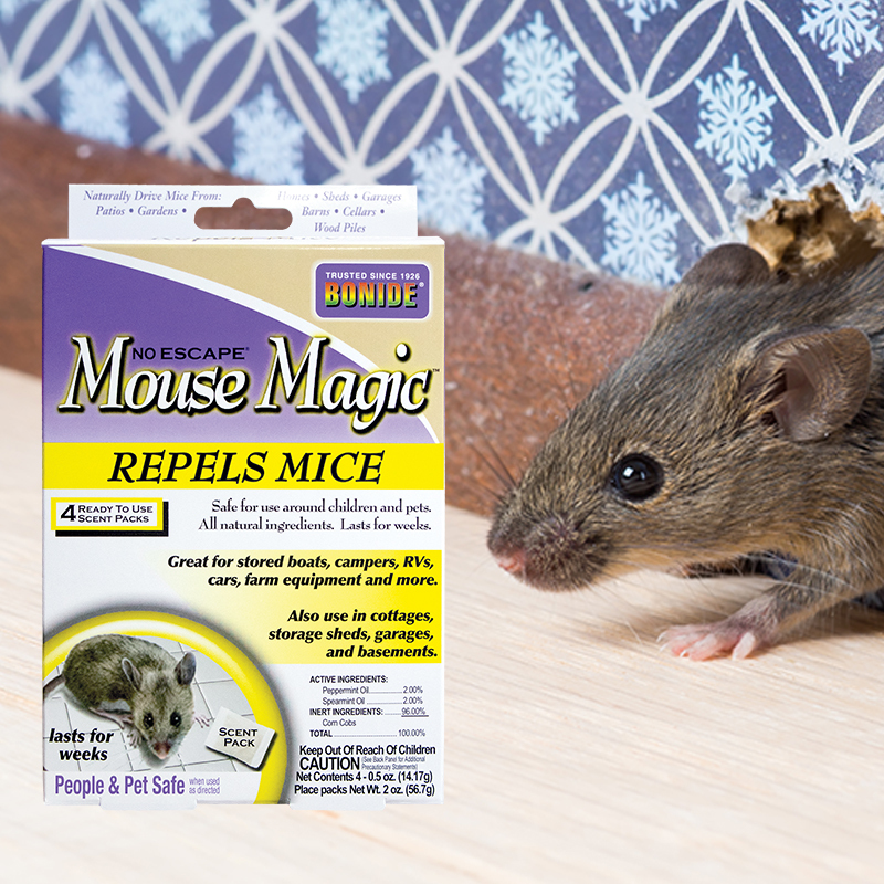 Mouse Magic 4 pack