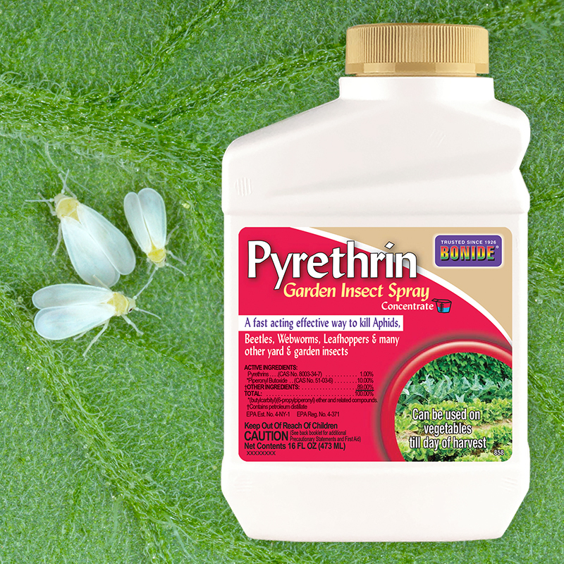 Pyrethrin Garden Insect Spray 16oz concentrate
