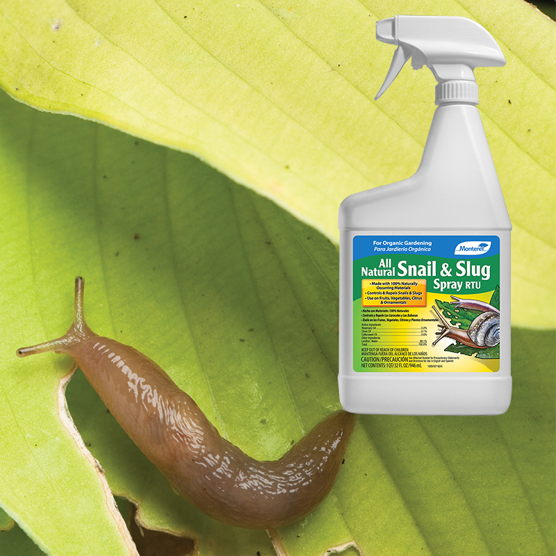 Snail & Slug Spray 32oz ready-to-use