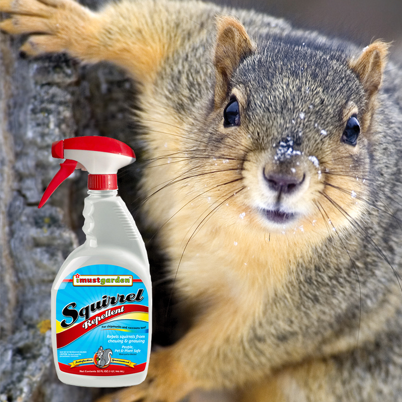 All-Natural Squirrel Repellent 32oz ready-to-use