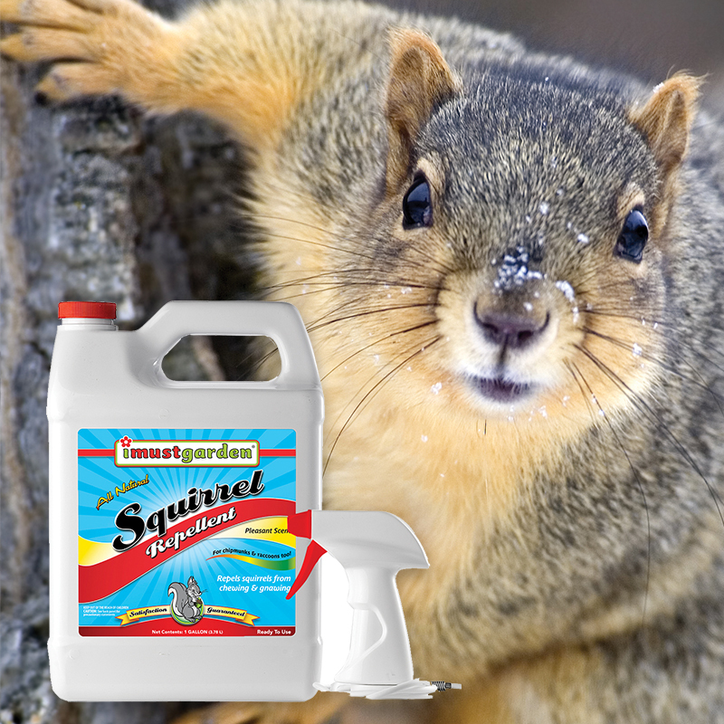 All-Natural Squirrel Repellent Gallon ready-to-use