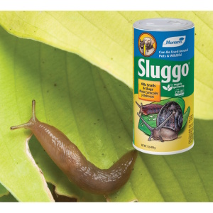 Product Image of Sluggo 1lb powder