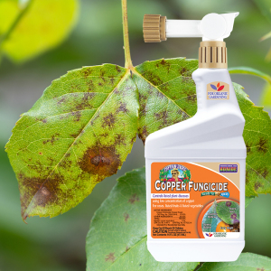 Product Image of Copper Fungicide 16oz ready-to-spray