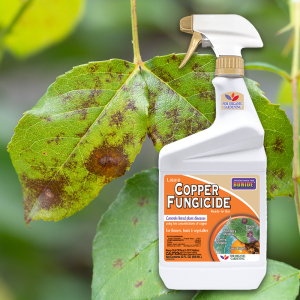 Product Image of Copper Fungicide 32oz ready-to-use