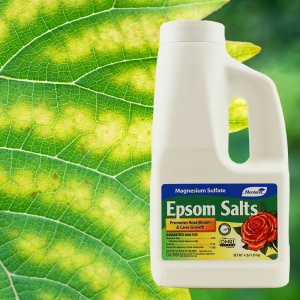 Product Image of Epsom Salt 4lb granular