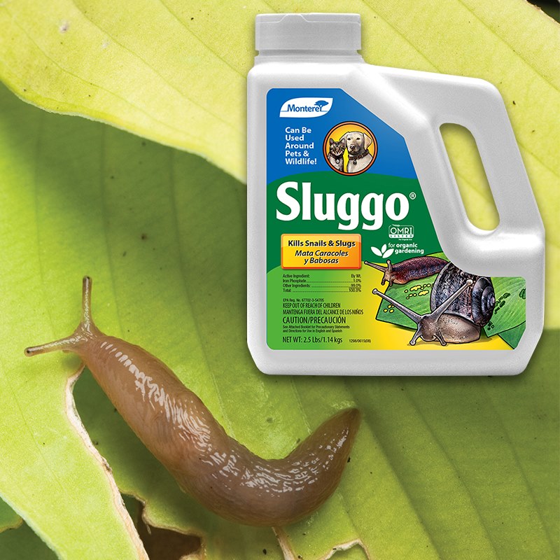 Product Image of Sluggo 2.5lb powder