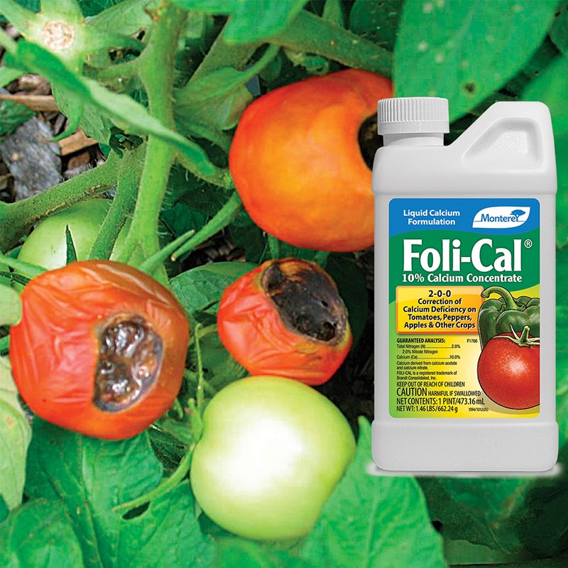 Product Image of Foli-Cal 16oz concentrate