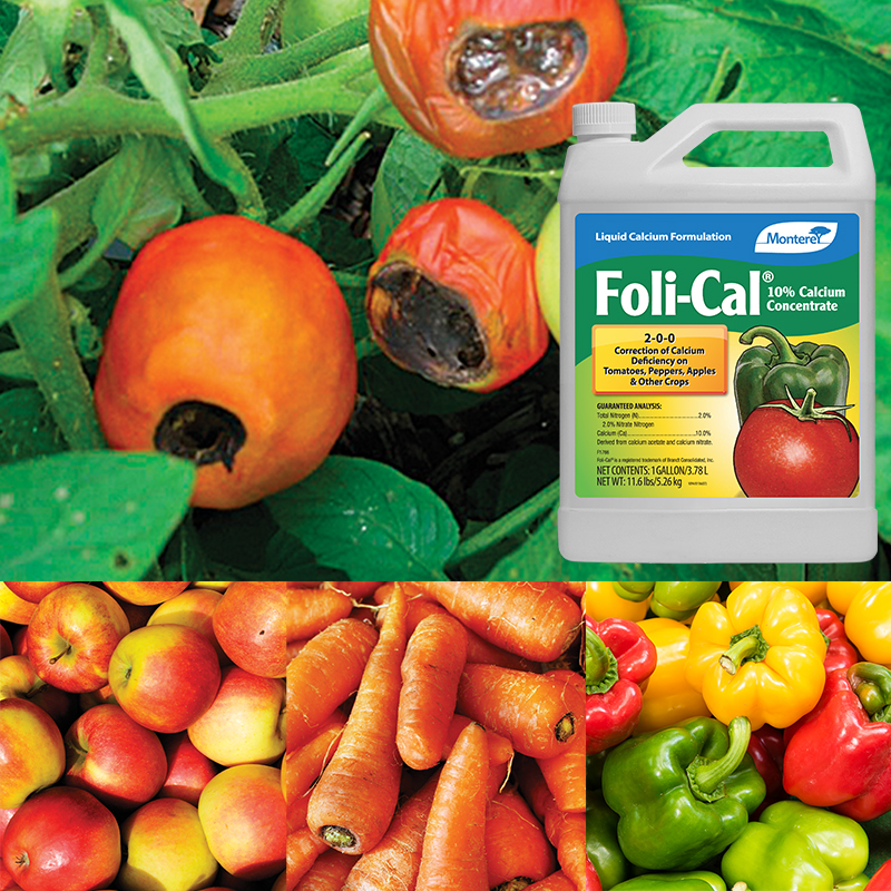 Product Image of Foli-Cal gallon concentrate