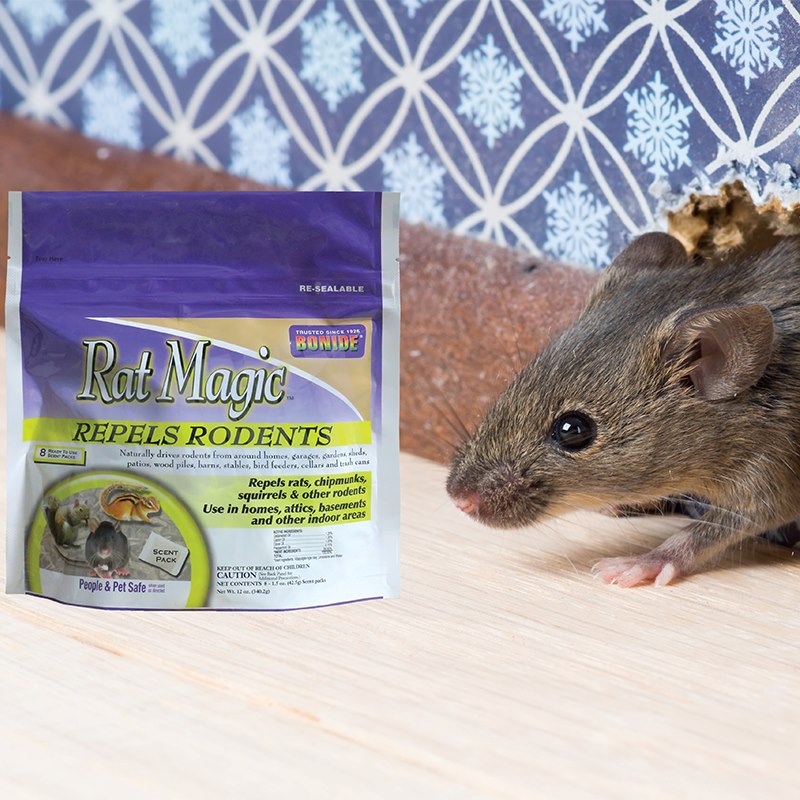 Product Image of Rat Magic 8 bags