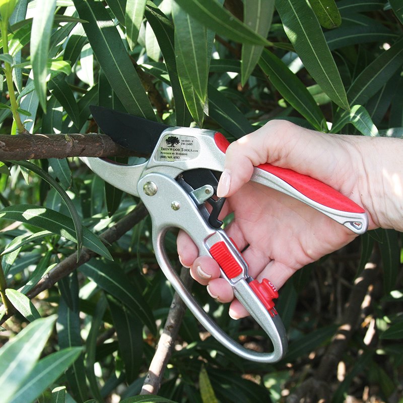 Product Image of Ratchet Pruner