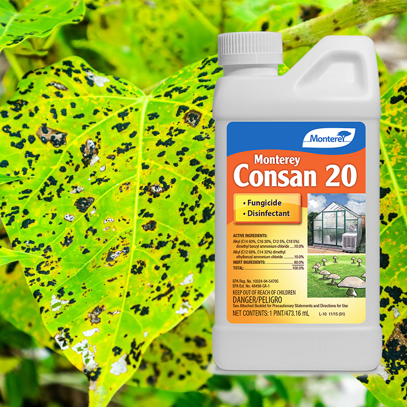 Consan 20 16oz concentrate