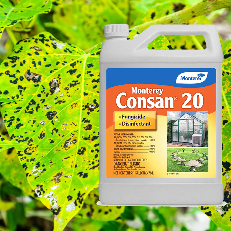Product Image of Consan 20 gallon concenrate