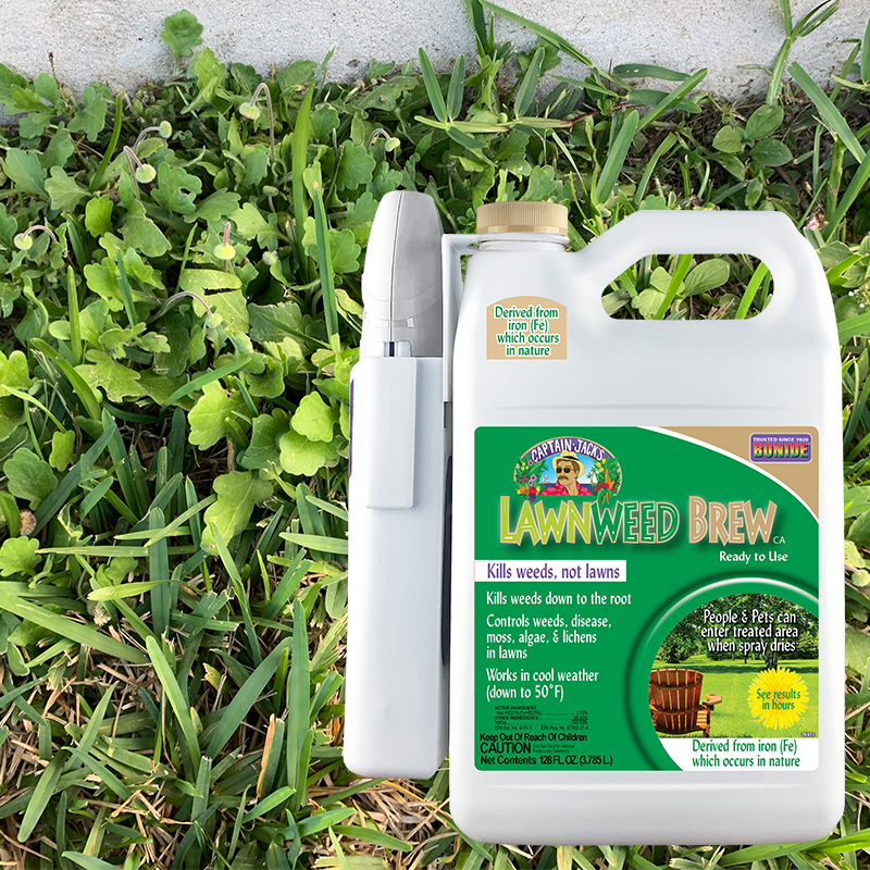 Lawn Weed Killer gallon ready-to-use